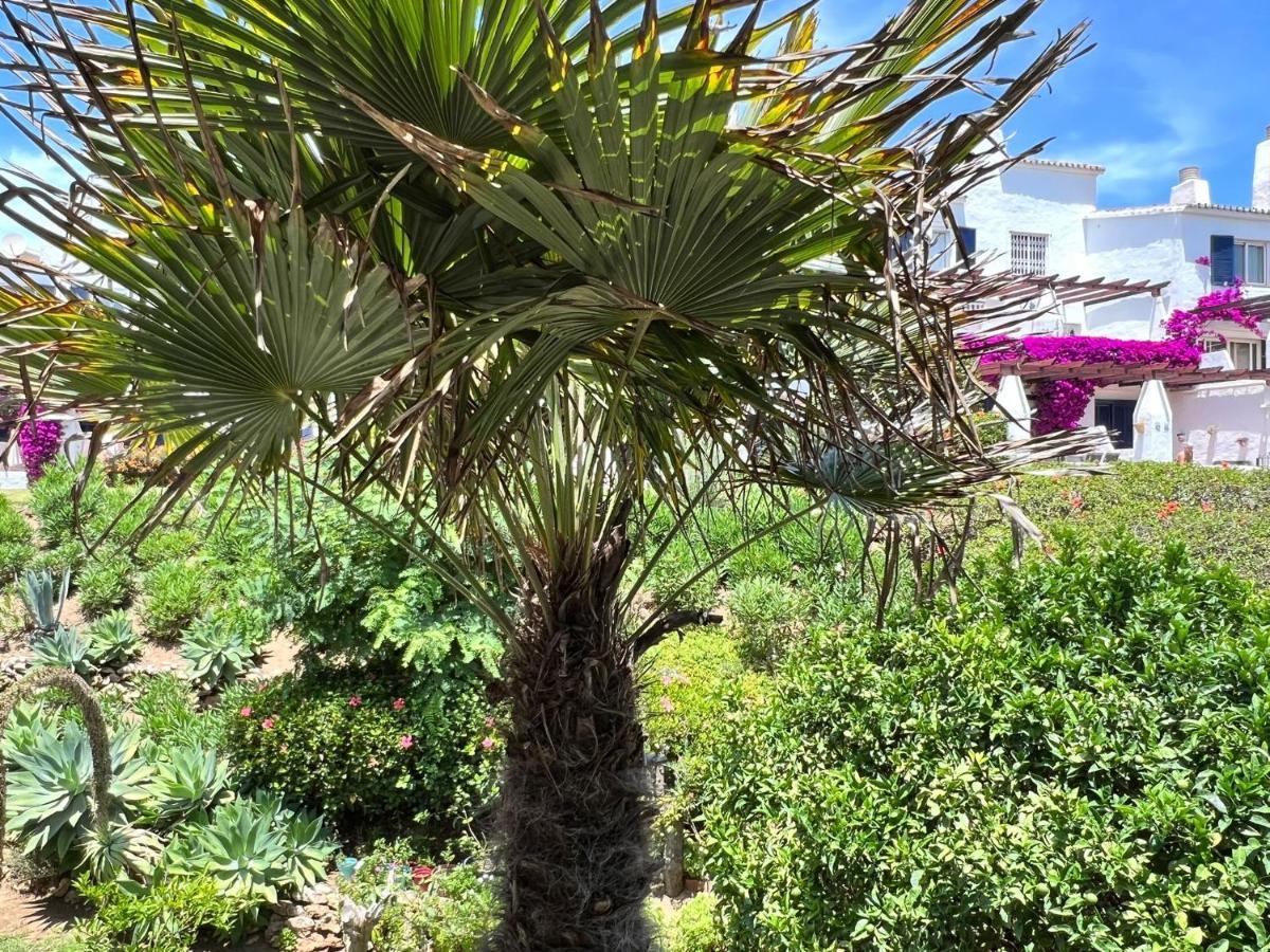 Newly Renovated 2 Bedroom Beachfront House Sitio de Calahonda Bagian luar foto