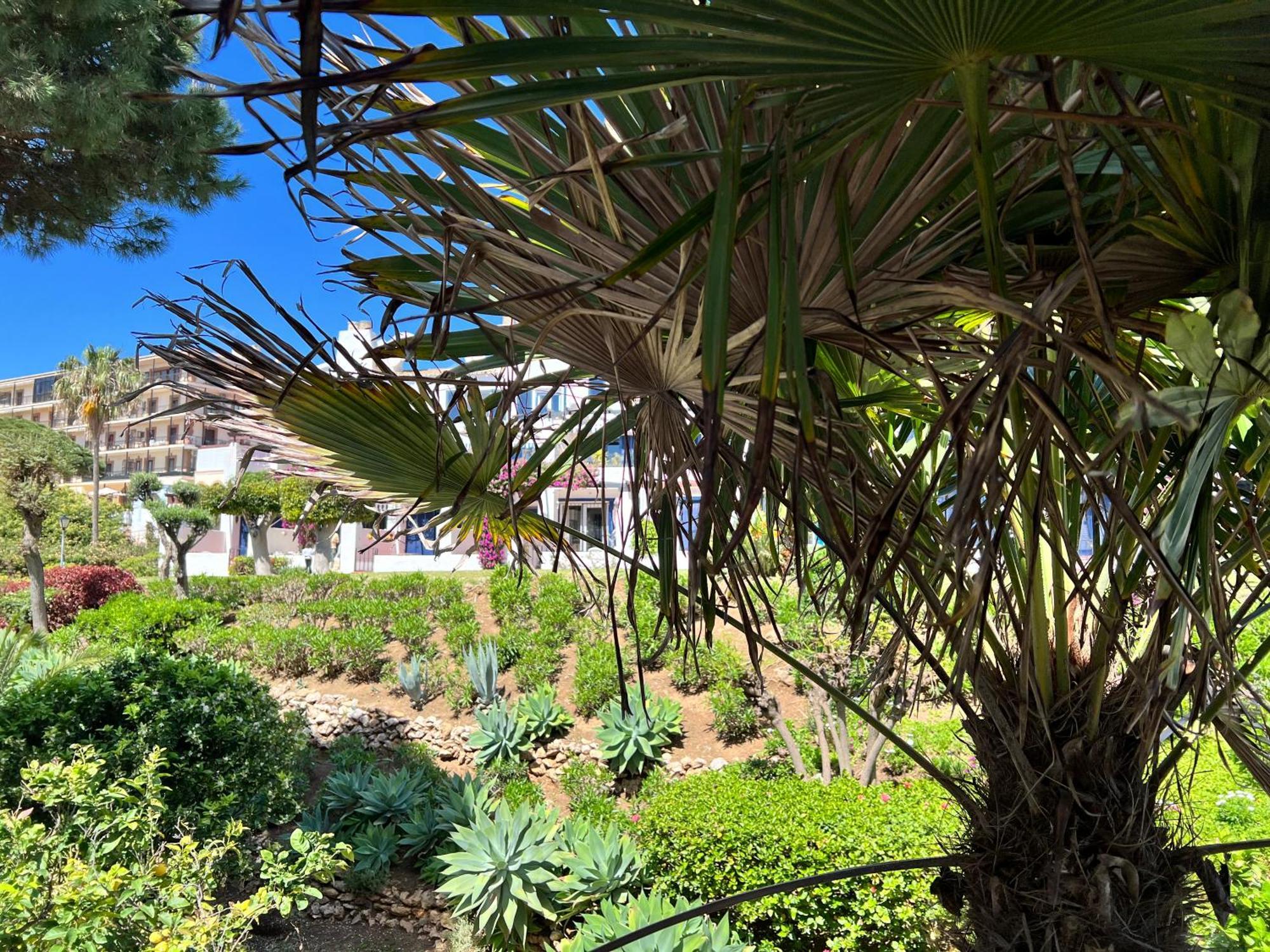 Newly Renovated 2 Bedroom Beachfront House Sitio de Calahonda Bagian luar foto